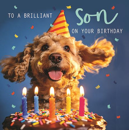 SON