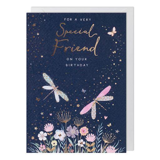 SPECIAL FRIEND