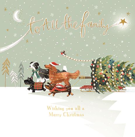 TO ALL THE FAMILY