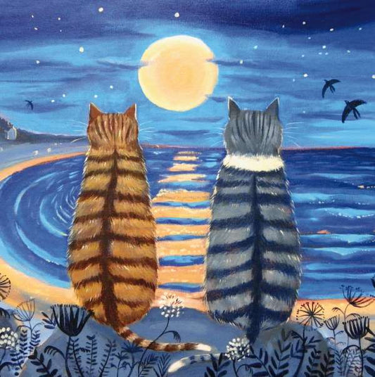 PKT S05-MOON CATS