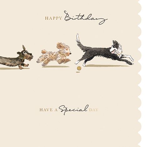 SOPHIE ALLPORT - FREE TO RUN
