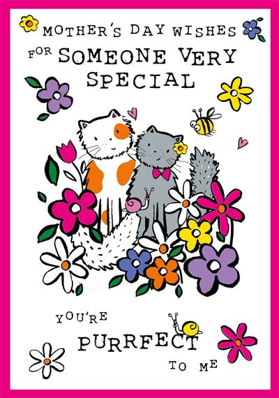 SOMEONE SPECIAL