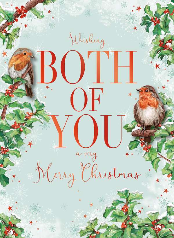 BOTH OF YOU - ROBINS