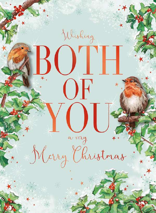 BOTH OF YOU - ROBINS