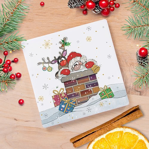 Xmas Bug Art Santa Roof Coaster