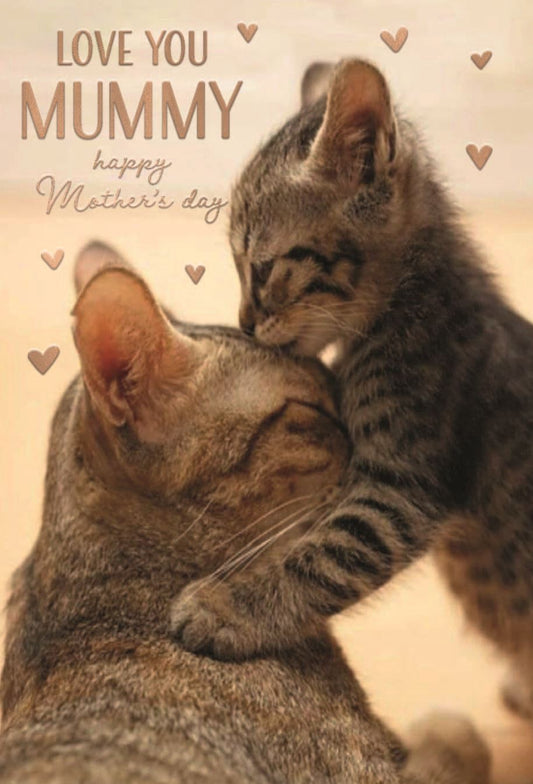 MUMMY