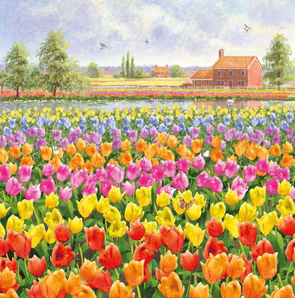 PKT S22 RAINBOW OF TULIPS