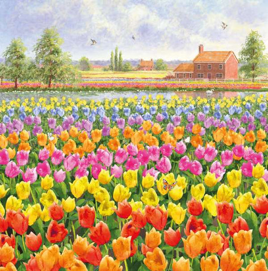 PKT S22 RAINBOW OF TULIPS