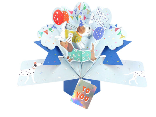 BIRTHDAY DOGS