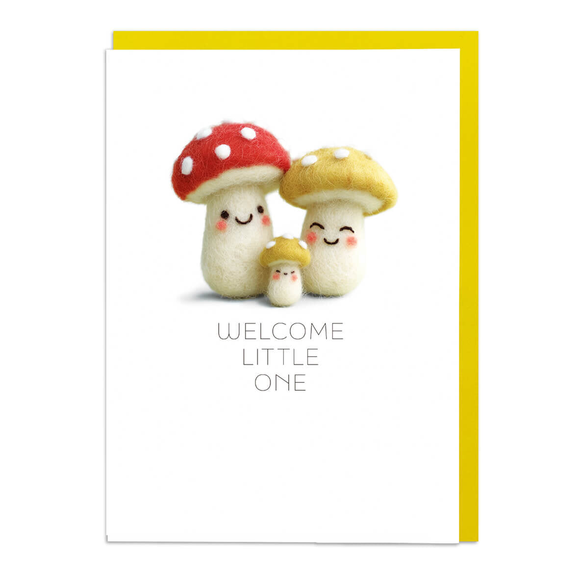 WELCOME LITTLE ONE