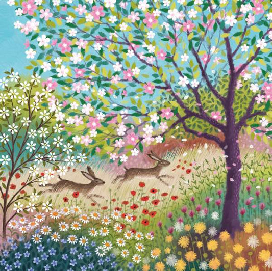 PKT S02-MEADOWHARES