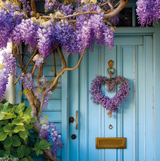 WONDERFUL WISTERIA