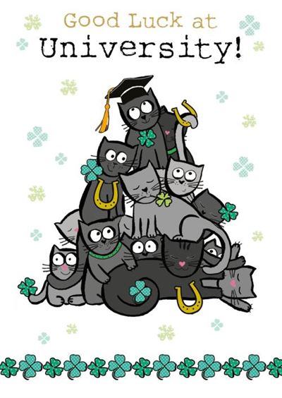 (GLU) BLACK CAT PILE