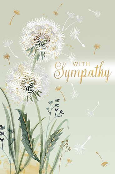WITH SYMPATHY