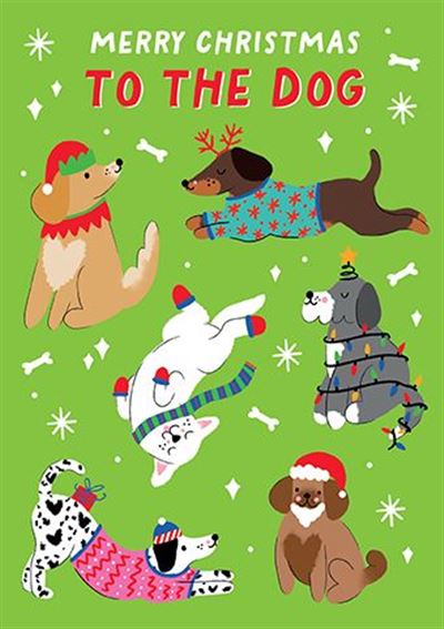 TO THE DOG