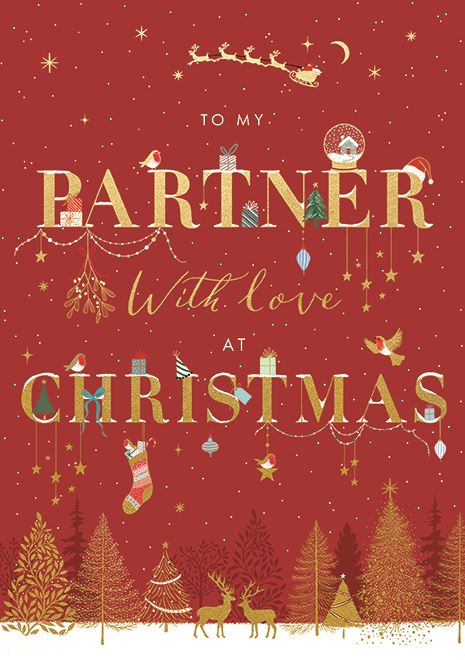 PARTNER