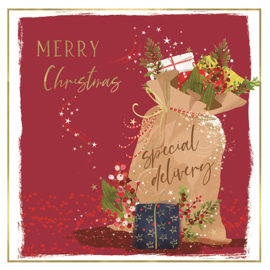 Luxury Christmas Cards - Special Delivery