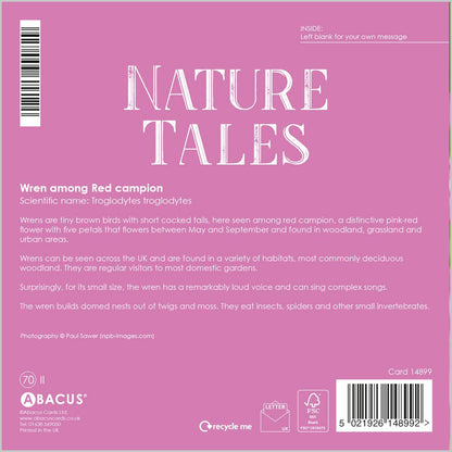 WREN AMONG RED CAMPION
