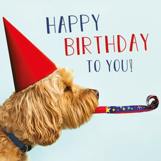 BIRTHDAY DOG