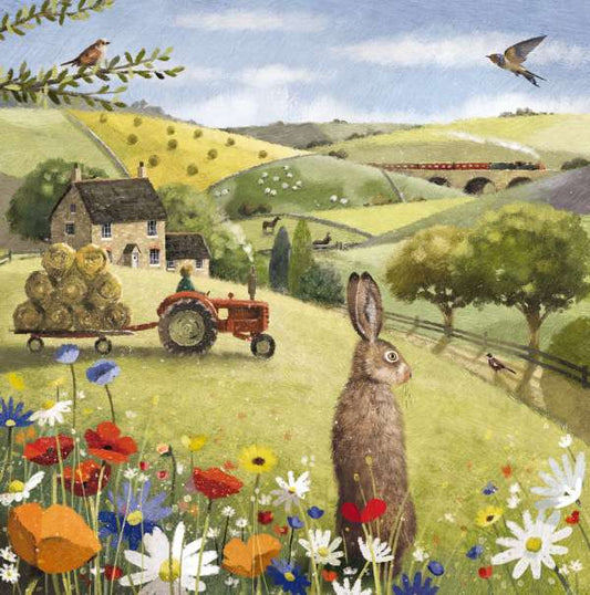 PKT S20-COUNTRYSIDE HARE