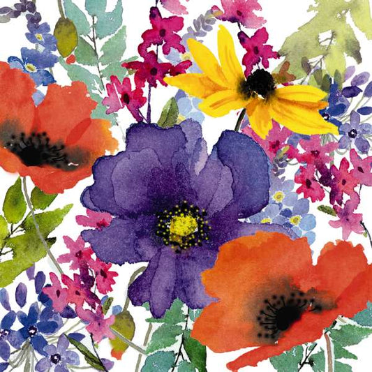 PKT S01-COLOURFUL BLOOM