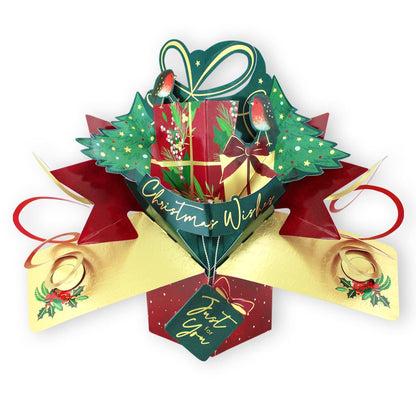 XMAS GIFT WITH ROBIN POP UP CARD