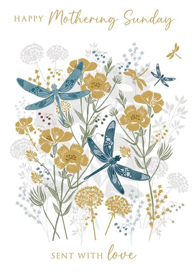 (MGE) WOODLAND DRAGONFLIES