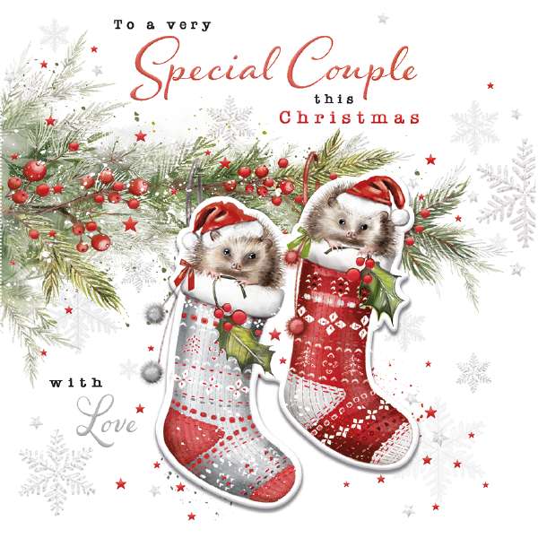 SPECIAL COUPLE - HEDGEHOGS IN STOCKINGS