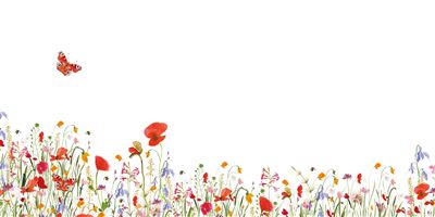 WILD FIELD