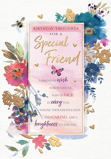 SPECIAL FRIEND