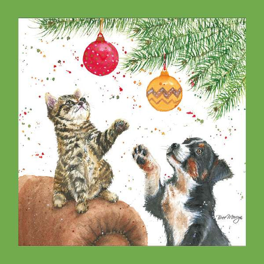 TIGGER & TROOPER - BREE MERRYN