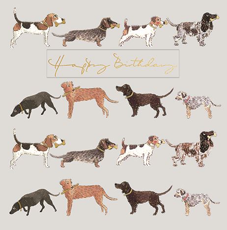 SOPHIE ALLPORT - DOGGIES