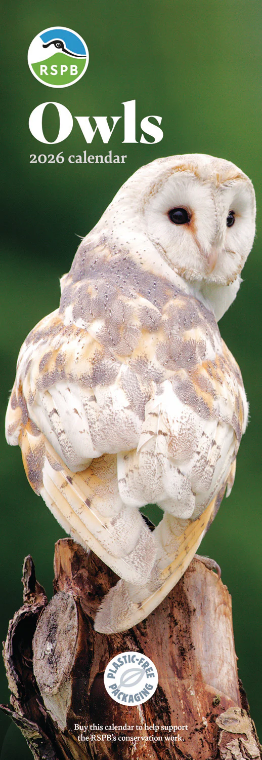 RSPB Owls Slim Calendar 2026 (PFP)