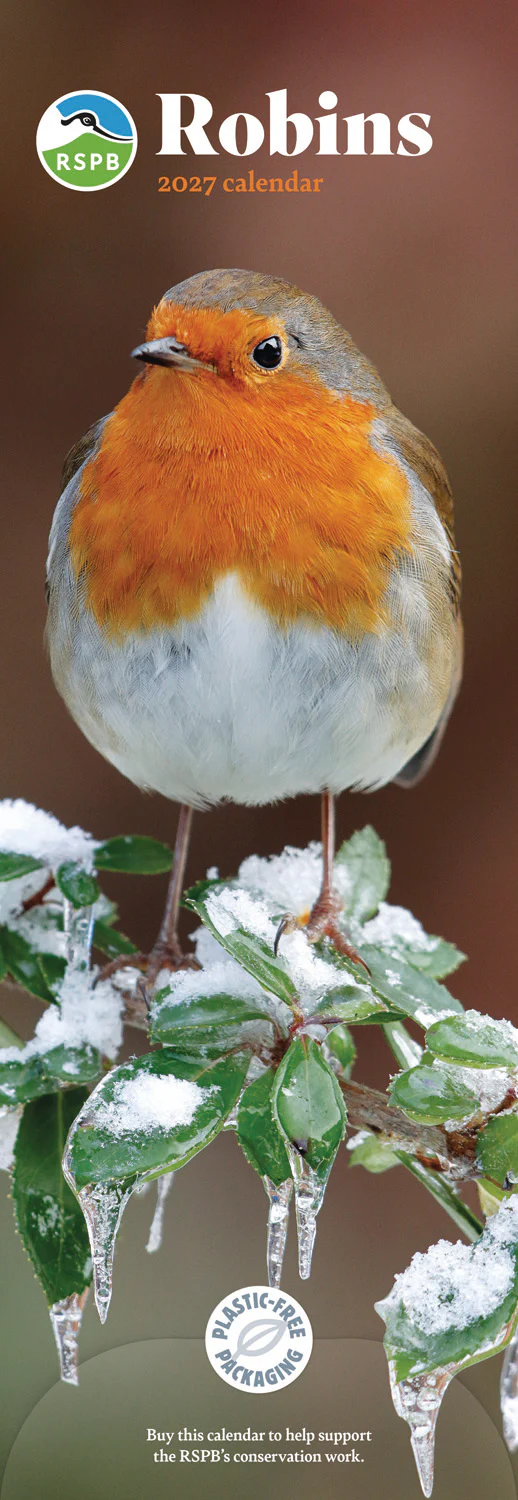 Robins RSPB Slim Calendar 2027