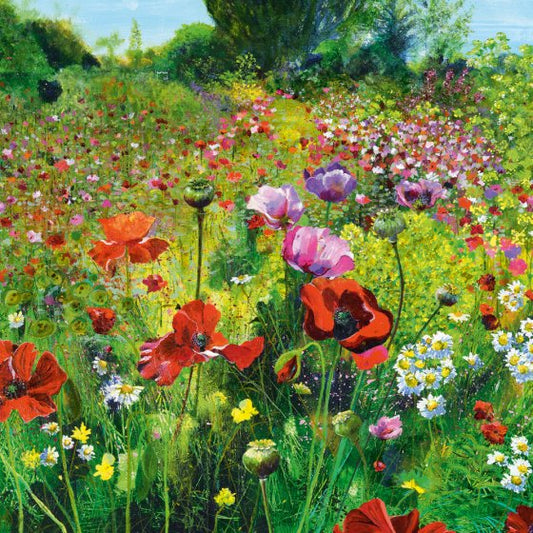 GLORIOUS POPPIES AT GREAT DIXTER