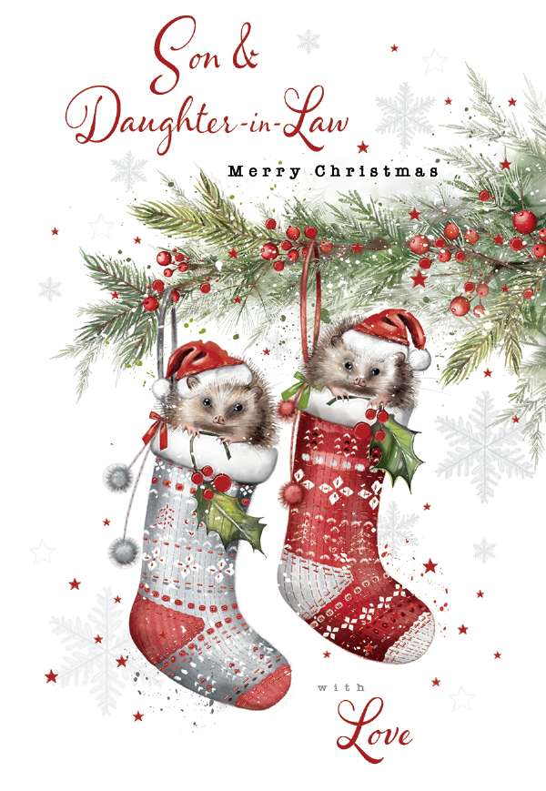SON & DAUGHTER-IN-LAW HEDGEHOG STOCKINGS